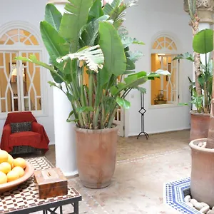 Riad Dar Loulema Esauira